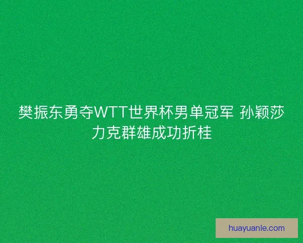 樊振东勇夺WTT世界杯男单冠军 孙颖莎力克群雄成功折桂