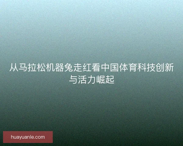从马拉松机器兔走红看中国体育科技创新与活力崛起
